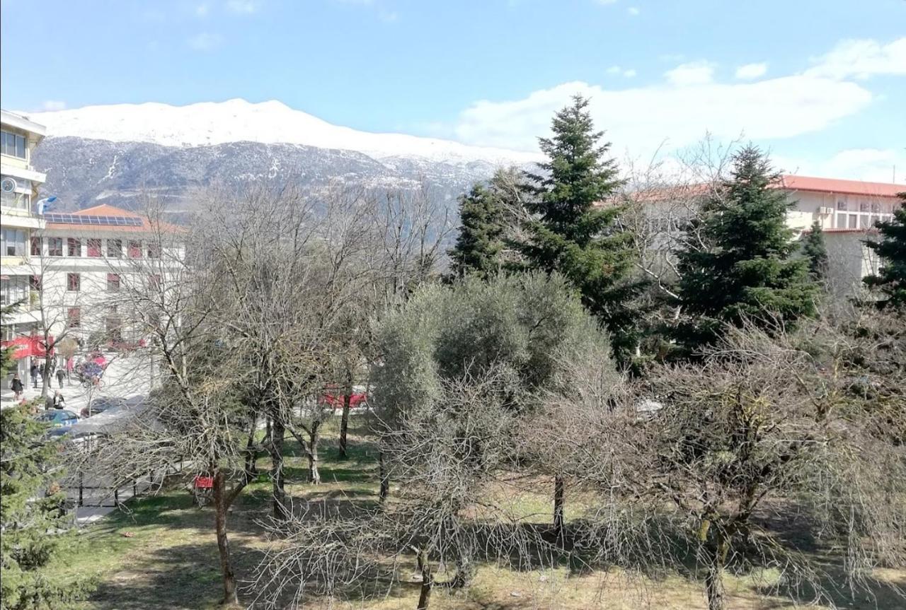 Gks Park View Apartment Ioannina Luaran gambar